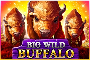 01872 big wild buffalo
